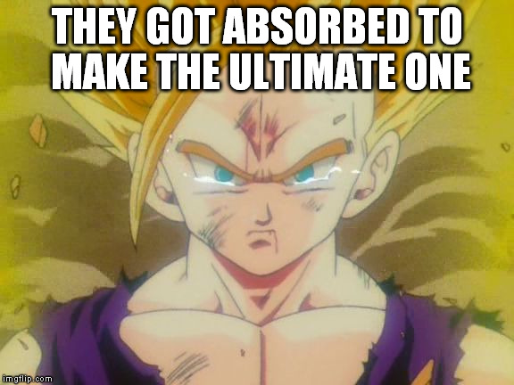 sad Gohan ssj2 | THEY GOT ABSORBED TO MAKE THE ULTIMATE ONE | image tagged in sad gohan ssj2 | made w/ Imgflip meme maker
