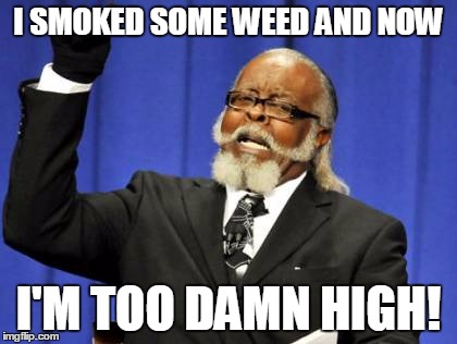 Too Damn High | I SMOKED SOME WEED AND NOW I'M TOO DAMN HIGH! | image tagged in memes,too damn high | made w/ Imgflip meme maker