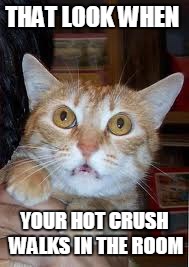 The Crush LOOK | THAT LOOK WHEN YOUR HOT CRUSH WALKS IN THE ROOM | image tagged in crush walks in room | made w/ Imgflip meme maker