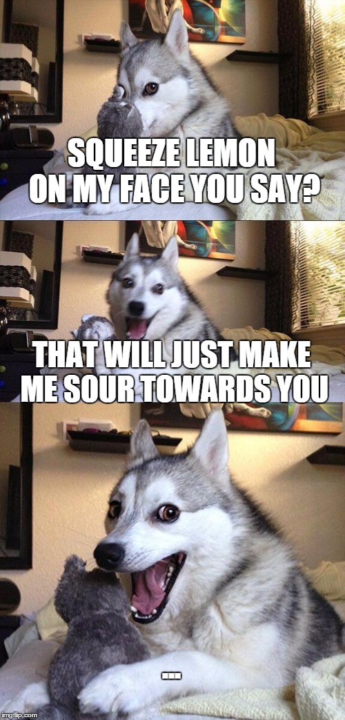 Bad Pun Dog Meme | SQUEEZE LEMON ON MY FACE YOU SAY? THAT WILL JUST MAKE ME SOUR TOWARDS YOU ... | image tagged in memes,bad pun dog | made w/ Imgflip meme maker