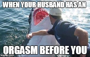 Shark punch | WHEN YOUR HUSBAND HAS AN ORGASM BEFORE YOU | image tagged in shark punch,sex,orgasm,husband,that moment when | made w/ Imgflip meme maker