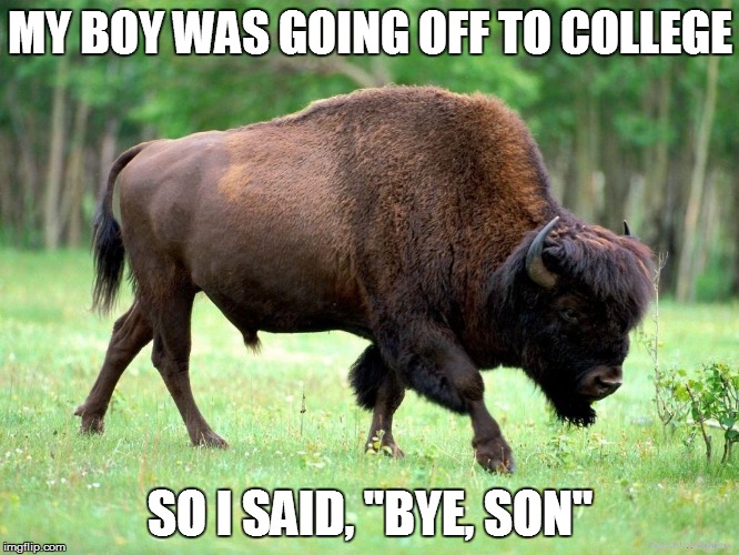 Bison biscuits | MY BOY WAS GOING OFF TO COLLEGE SO I SAID, "BYE, SON" | image tagged in bison biscuits | made w/ Imgflip meme maker