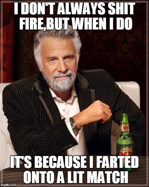 The Most Interesting Man In The World | I DON'T ALWAYS SHIT FIRE,BUT WHEN I DO IT'S BECAUSE I FARTED ONTO A LIT MATCH | image tagged in memes,the most interesting man in the world | made w/ Imgflip meme maker