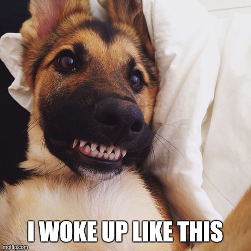 I WOKE UP LIKE THIS | made w/ Imgflip meme maker