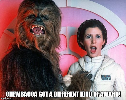 chewy | CHEWBACCA GOT A DIFFERENT KIND OF AWARD! | image tagged in chewy | made w/ Imgflip meme maker