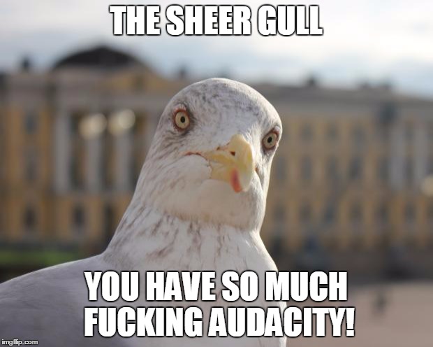 [Image: v2v5w.jpg]