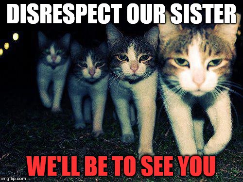 Wrong Neighboorhood Cats Meme | DISRESPECT OUR SISTER WE'LL BE TO SEE YOU | image tagged in memes,wrong neighboorhood cats | made w/ Imgflip meme maker