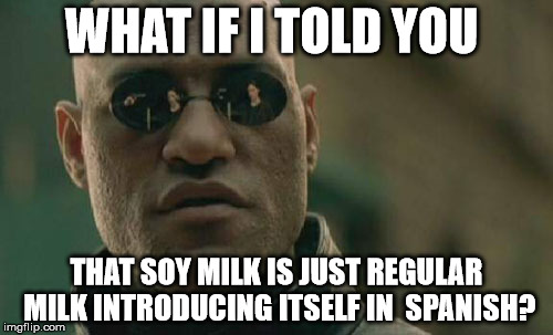 Matrix Morpheus Meme | WHAT IF I TOLD YOU THAT SOY MILK IS JUST REGULAR MILK INTRODUCING ITSELF IN  SPANISH? | image tagged in memes,matrix morpheus | made w/ Imgflip meme maker