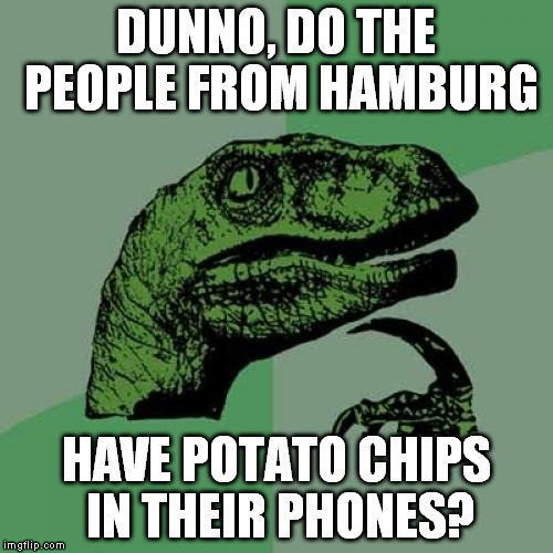 Philosoraptor Meme | DUNNO, DO THE PEOPLE FROM HAMBURG HAVE POTATO CHIPS IN THEIR PHONES? | image tagged in memes,philosoraptor | made w/ Imgflip meme maker