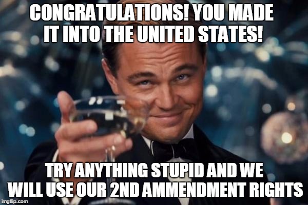 Leonardo Dicaprio Cheers Meme | CONGRATULATIONS! YOU MADE IT INTO THE UNITED STATES! TRY ANYTHING STUPID AND WE WILL USE OUR 2ND AMMENDMENT RIGHTS | image tagged in memes,leonardo dicaprio cheers | made w/ Imgflip meme maker