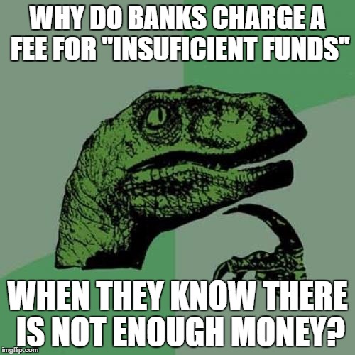 PhilosoRaptor on Insufficient Funds | WHY DO BANKS CHARGE A FEE FOR "INSUFICIENT FUNDS" WHEN THEY KNOW THERE IS NOT ENOUGH MONEY? | image tagged in memes,philosoraptor | made w/ Imgflip meme maker