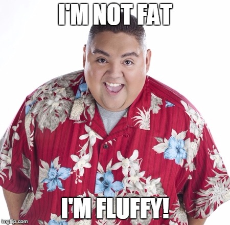 I'M NOT FAT I'M FLUFFY! | made w/ Imgflip meme maker