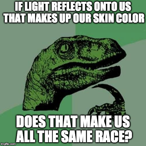 Philosoraptor Meme | IF LIGHT REFLECTS ONTO US THAT MAKES UP OUR SKIN COLOR DOES THAT MAKE US ALL THE SAME RACE? | image tagged in memes,philosoraptor | made w/ Imgflip meme maker