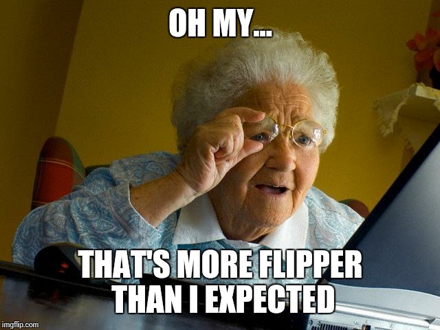 Grandma Finds The Internet Meme | OH MY... THAT'S MORE FLIPPER THAN I EXPECTED | image tagged in memes,grandma finds the internet | made w/ Imgflip meme maker