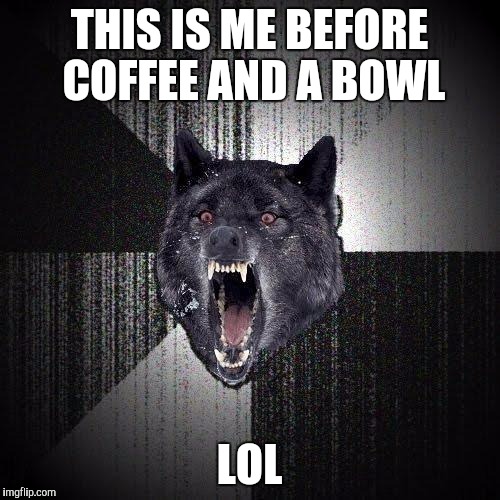 Insanity Wolf | THIS IS ME BEFORE COFFEE AND A BOWL LOL | image tagged in memes,insanity wolf | made w/ Imgflip meme maker