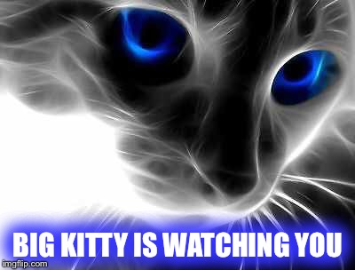 Big brother has a cat | BIG KITTY IS WATCHING YOU | image tagged in cats,true,mrmes,justjeff | made w/ Imgflip meme maker