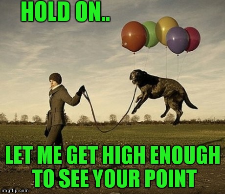 HOLD ON.. LET ME GET HIGH ENOUGH TO SEE YOUR POINT | made w/ Imgflip meme maker
