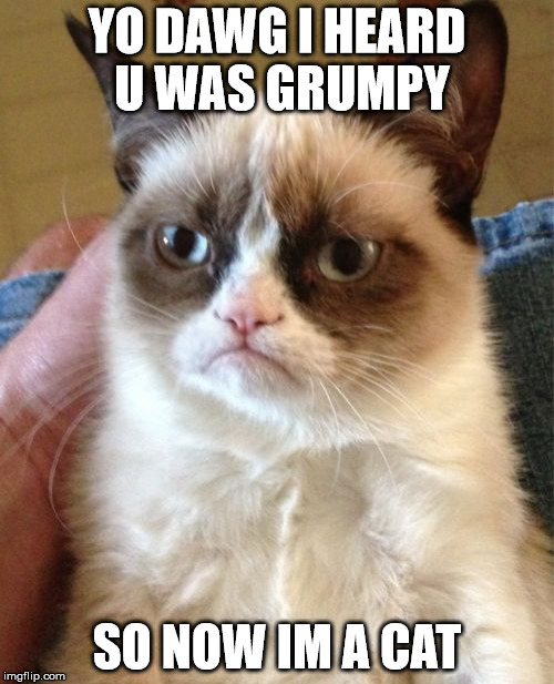 Grumpy Cat Meme | YO DAWG I HEARD U WAS GRUMPY SO NOW IM A CAT | image tagged in memes,grumpy cat | made w/ Imgflip meme maker