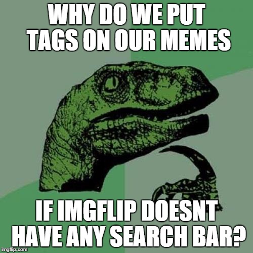 Philosoraptor | WHY DO WE PUT TAGS ON OUR MEMES IF IMGFLIP DOESNT HAVE ANY SEARCH BAR? | image tagged in memes,philosoraptor | made w/ Imgflip meme maker