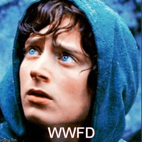 WWFD? | WWFD | image tagged in frodo,wwjd,lord of the rings,wwfd | made w/ Imgflip meme maker