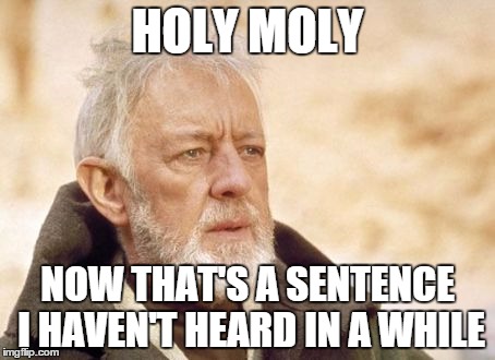 Obi Wan Kenobi Meme | HOLY MOLY NOW THAT'S A SENTENCE I HAVEN'T HEARD IN A WHILE | image tagged in memes,obi wan kenobi | made w/ Imgflip meme maker