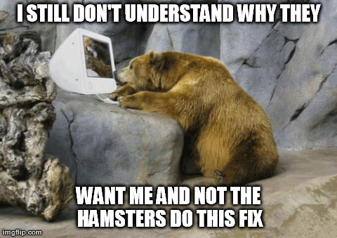 image tagged in funny,animals,bears,computers | made w/ Imgflip meme maker