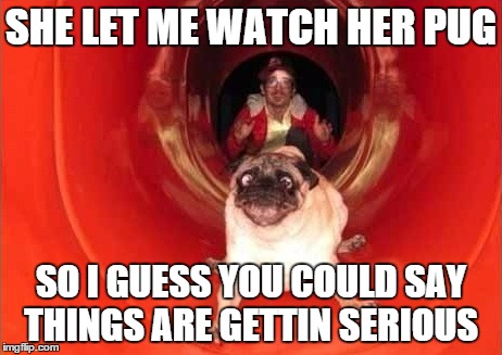 pug wtf | SHE LET ME WATCH HER PUG SO I GUESS YOU COULD SAY THINGS ARE GETTIN SERIOUS | image tagged in pug wtf,so i guess you can say things are getting pretty serious,pug,funny,memes | made w/ Imgflip meme maker