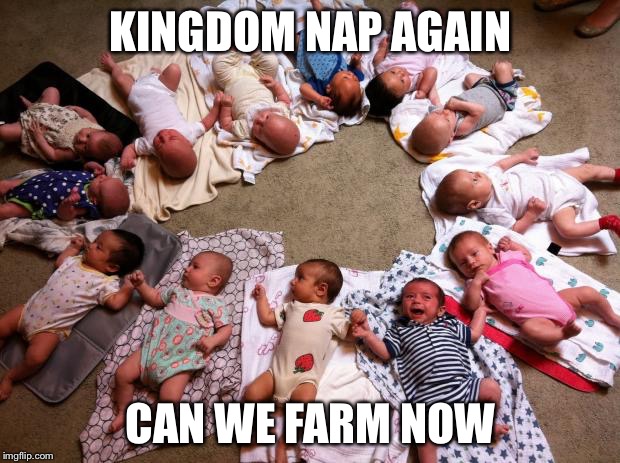 lots of babies | KINGDOM NAP AGAIN CAN WE FARM NOW | image tagged in lots of babies | made w/ Imgflip meme maker