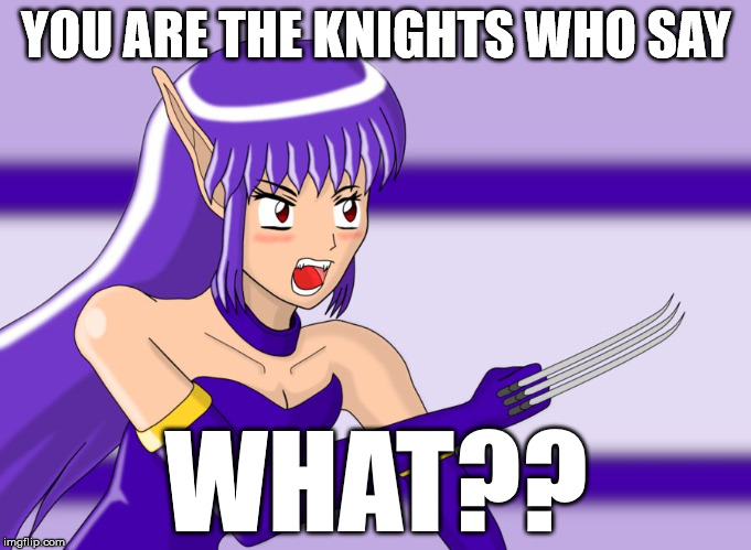 YOU ARE THE KNIGHTS WHO SAY WHAT?? | image tagged in nei phantasy star,knights who say ni,nei,funny memes,memes,phantasy star | made w/ Imgflip meme maker