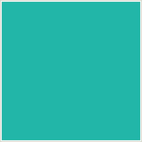 TEAL BACKGROUND Blank Meme Template