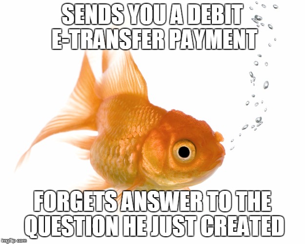 Bad Memory Goldfish | SENDS YOU A DEBIT E-TRANSFER PAYMENT FORGETS ANSWER TO THE QUESTION HE JUST CREATED | image tagged in bad memory goldfish | made w/ Imgflip meme maker