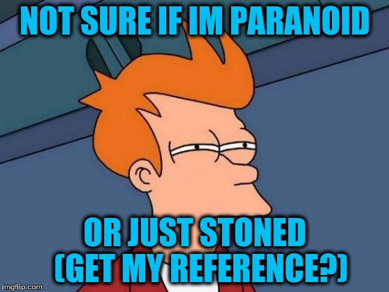 Futurama Fry | NOT SURE IF IM PARANOID OR JUST STONED 
(GET MY REFERENCE?) | image tagged in memes,futurama fry | made w/ Imgflip meme maker