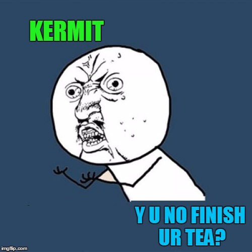 Y U No Mind Ur Business | KERMIT Y U NO FINISH UR TEA? | image tagged in memes,y u no,kermit the frog | made w/ Imgflip meme maker