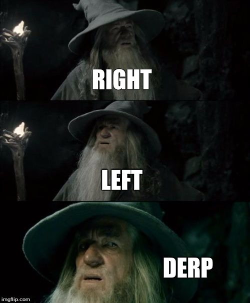 Confused Gandalf Meme | RIGHT LEFT DERP | image tagged in memes,confused gandalf | made w/ Imgflip meme maker