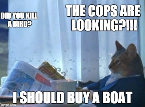 I Should Buy A Boat Cat Meme | THE COPS ARE LOOKING?!!! I SHOULD BUY A BOAT DID YOU KILL A BIRD? | image tagged in memes,i should buy a boat cat | made w/ Imgflip meme maker