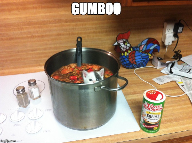 cajun ingenuity | GUMBOO | image tagged in cajun,funny memes | made w/ Imgflip meme maker