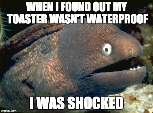 Bad Joke Eel Meme | WHEN I FOUND OUT MY TOASTER WASN'T WATERPROOF I WAS SHOCKED | image tagged in memes,bad joke eel | made w/ Imgflip meme maker