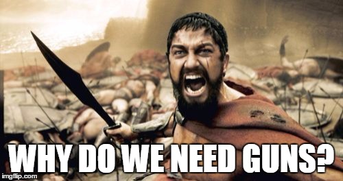 Sparta Leonidas Meme | WHY DO WE NEED GUNS? | image tagged in memes,sparta leonidas | made w/ Imgflip meme maker