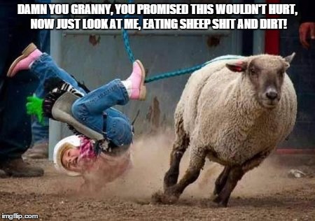 sheep  busting | DAMN YOU GRANNY, YOU PROMISED THIS WOULDN'T HURT, NOW JUST LOOK AT ME, EATING SHEEP SHIT AND DIRT! | image tagged in sheep  busting | made w/ Imgflip meme maker