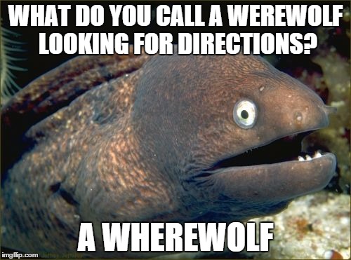 Bad Joke Eel | WHAT DO YOU CALL A WEREWOLF LOOKING FOR DIRECTIONS? A WHEREWOLF | image tagged in memes,bad joke eel | made w/ Imgflip meme maker
