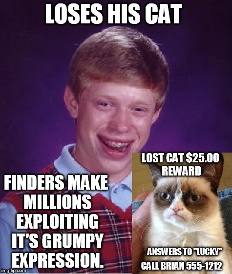 Bad Luck Brian Meme | LOSES HIS CAT FINDERS MAKE MILLIONS EXPLOITING IT'S GRUMPY EXPRESSION. LOST CAT $25.00 REWARD ANSWERS TO "LUCKY" CALL BRIAN 555-1212 | image tagged in memes,bad luck brian | made w/ Imgflip meme maker