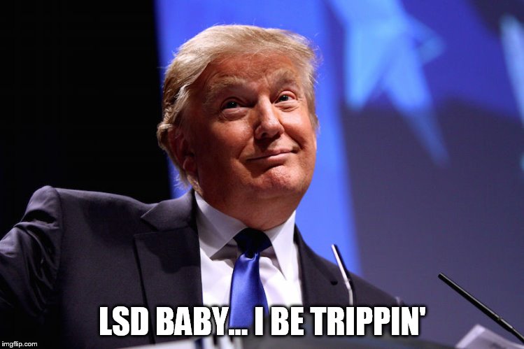 President wanna be | LSD BABY... I BE TRIPPIN' | image tagged in the most interesting man in the world | made w/ Imgflip meme maker