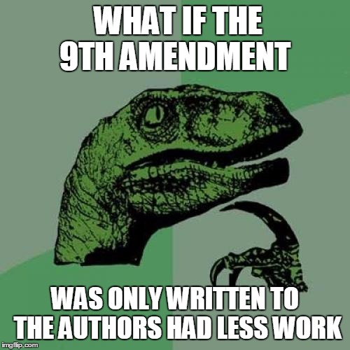 Philosoraptor Meme | WHAT IF THE 9TH AMENDMENT WAS ONLY WRITTEN TO THE AUTHORS HAD LESS WORK | image tagged in memes,philosoraptor | made w/ Imgflip meme maker