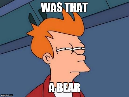 Futurama Fry Meme | WAS THAT A BEAR | image tagged in memes,futurama fry | made w/ Imgflip meme maker