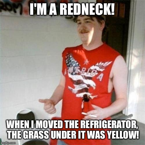 Redneck Randal Meme | I'M A REDNECK! WHEN I MOVED THE REFRIGERATOR, THE GRASS UNDER IT WAS YELLOW! | image tagged in memes,redneck randal | made w/ Imgflip meme maker