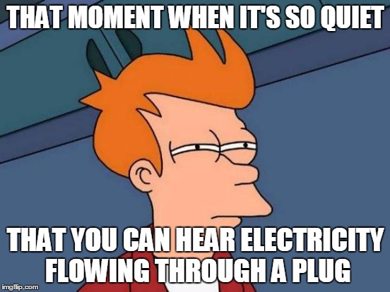 Futurama Fry Meme | THAT MOMENT WHEN IT'S SO QUIET THAT YOU CAN HEAR ELECTRICITY FLOWING THROUGH A PLUG | image tagged in memes,futurama fry | made w/ Imgflip meme maker