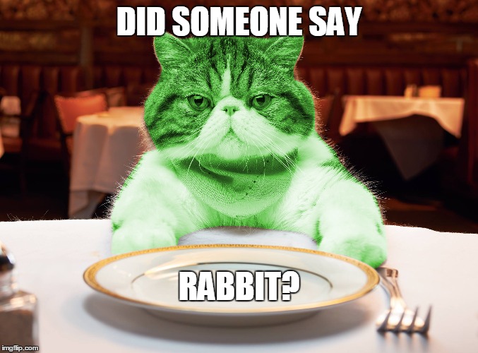 DID SOMEONE SAY RABBIT? | made w/ Imgflip meme maker