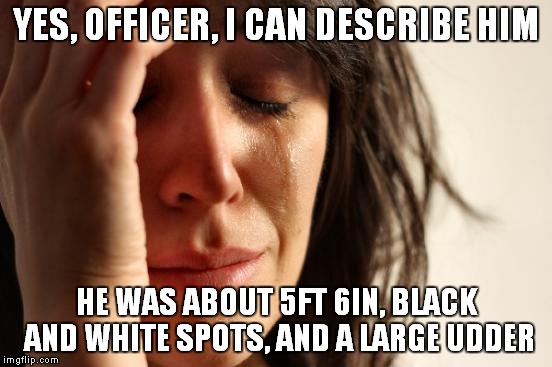 First World Problems Meme | YES, OFFICER, I CAN DESCRIBE HIM HE WAS ABOUT 5FT 6IN, BLACK AND WHITE SPOTS, AND A LARGE UDDER | image tagged in memes,first world problems | made w/ Imgflip meme maker