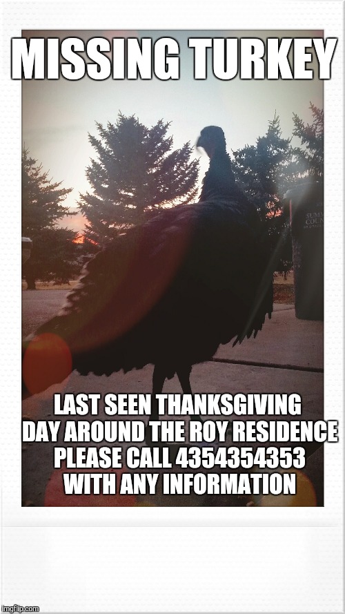 death to all turkey | MISSING TURKEY LAST SEEN THANKSGIVING DAY AROUND THE ROY RESIDENCE PLEASE CALL 4354354353 WITH ANY INFORMATION | image tagged in thanksgiving,native american,propaganda,slaughterhouse,factory farming | made w/ Imgflip meme maker