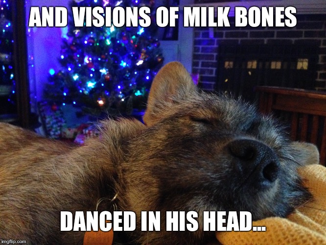 AND VISIONS OF MILK BONES DANCED IN HIS HEAD... | image tagged in dreams | made w/ Imgflip meme maker